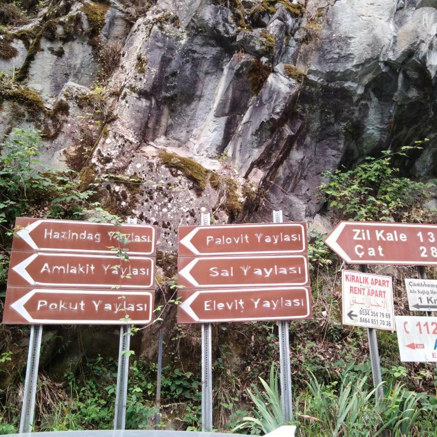Zisto Apart Otel & Bungalows Rize Luaran gambar